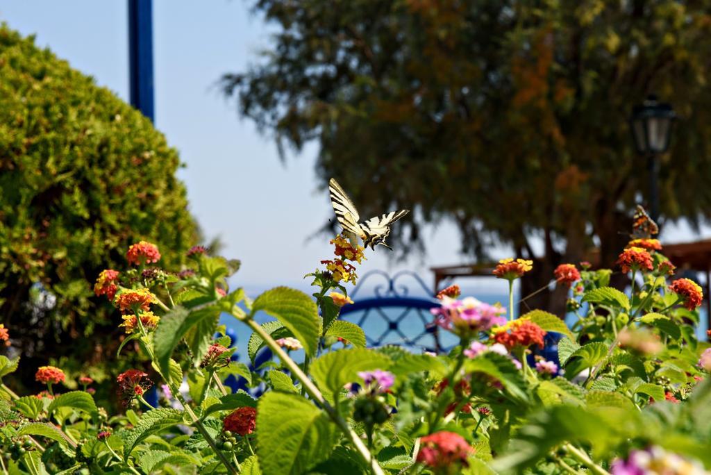 Karfas Bay View Apartman Kültér fotó